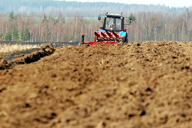 земельный фонд украины