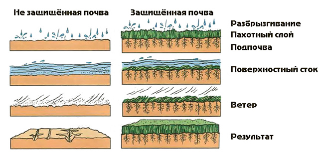 земельные угодья